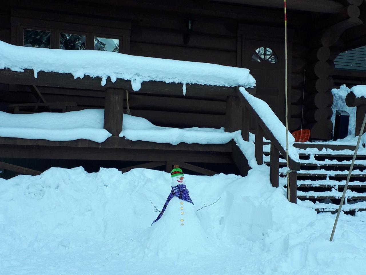 Campagne Hakuba Villa Værelse billede